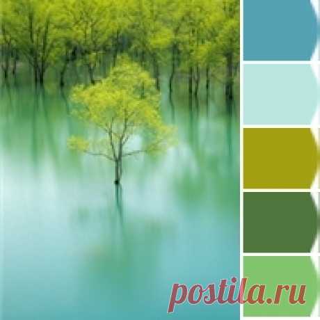 Check out these colors I just snapped! Instantly turn any picture into a palette with ColorSnap, created for you by Sherwin-Williams.