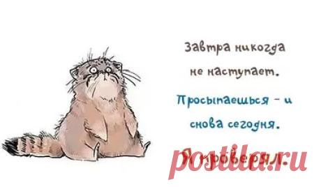 фитнес для мозга: 24 тыс изображений найдено в Яндекс.Картинках