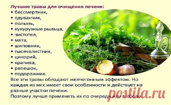 Очищение печени одуванчиком
Если вы хотите помочь своей печени, каждую весну, как только появятся желтые цветочки одуванчика, провести 2-х недельный курс очищения печени и желчных протоков.
Очищение печени: соберите цветы одуванчика, дайте им день полежать и немного привянуть. Заварите 2 ст.л. цветов в 0,5 л кипятка, дайте немного настояться, процедите и пейте по 100 г настоя 4 раза в день за 1 час до еды. Этот простой метод очищения печени дает замечательные результаты.
Корень одуванчика нез