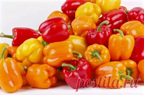 Болгарский перец так вы точно не готовили. Этим блюдам нет равных. | Правильно, готовим! | Дзен