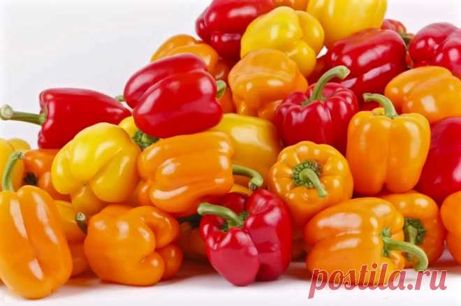 Болгарский перец так вы точно не готовили. Этим блюдам нет равных. | Правильно, готовим! | Дзен