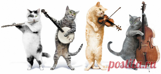 День кошек, праздники кошек