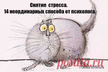 Простые и необычные способы снятия стресса — Делимся советами