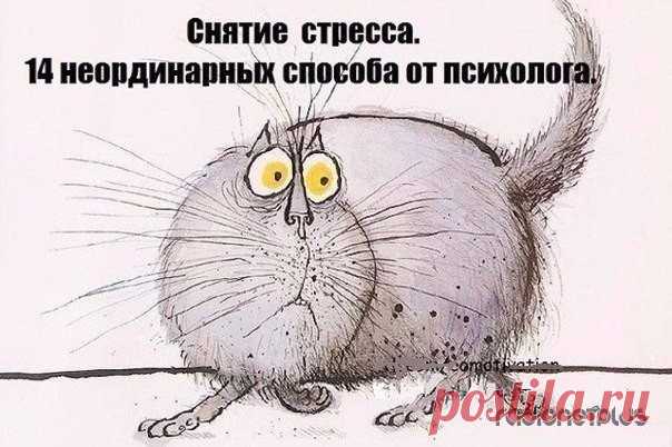 Простые и необычные способы снятия стресса — Делимся советами