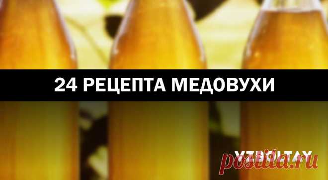 Медовуха: 24 рецепта в домашних условиях