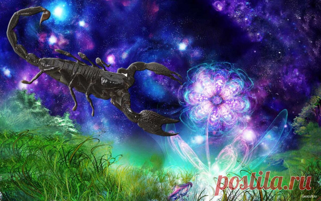 Скорпион: любовный гороскоп на декабрь 2023 года | PRO.Астрологию | Дзен