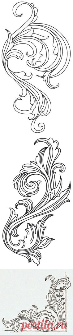 (81) Pinterest