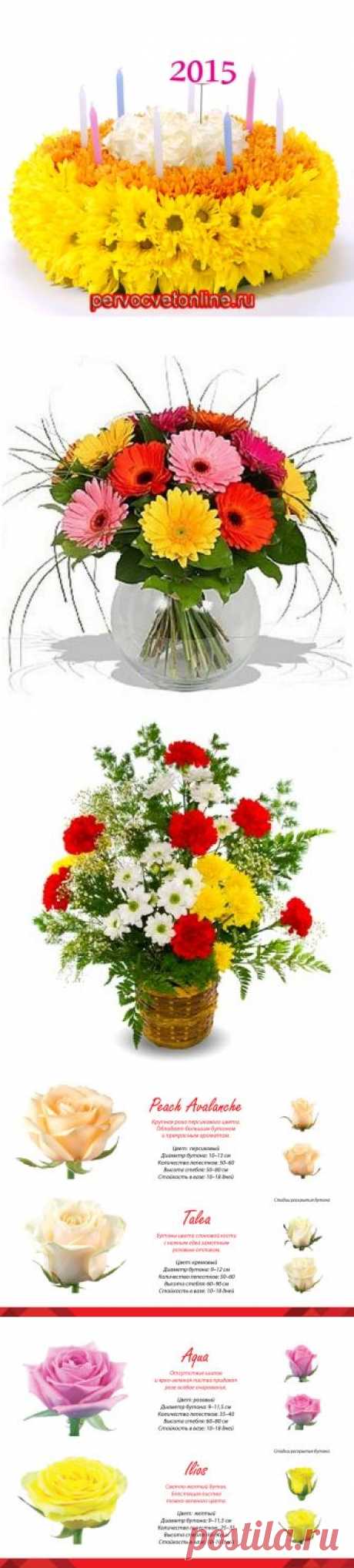 Розы Новая Голландия - Первоцвет онлайн 8-9856801903