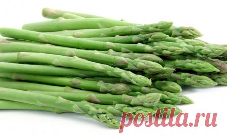 Чем полезна спаржа. Почему она является «мужским овощем» | Дары природы |