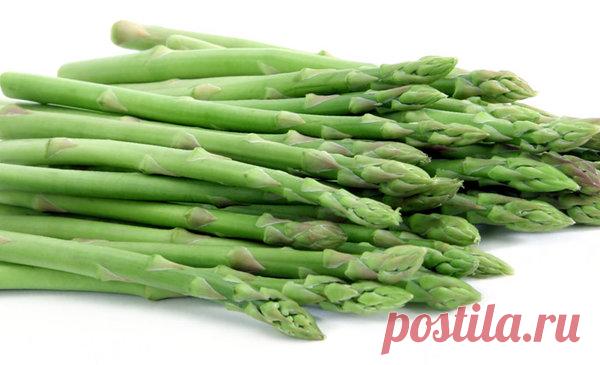 Чем полезна спаржа. Почему она является «мужским овощем» | Дары природы |
