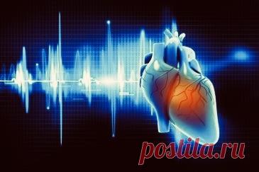 Как работает сердце человека: подробный обзор фаз сердечного цикла | Физиология сердца