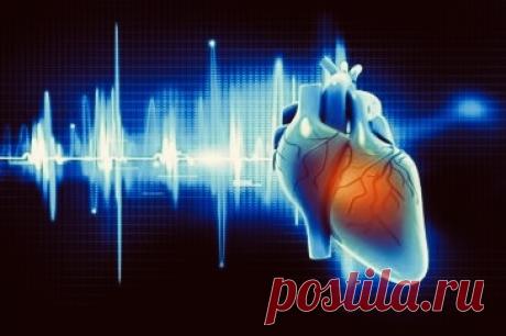 Как работает сердце человека: подробный обзор фаз сердечного цикла | Физиология сердца