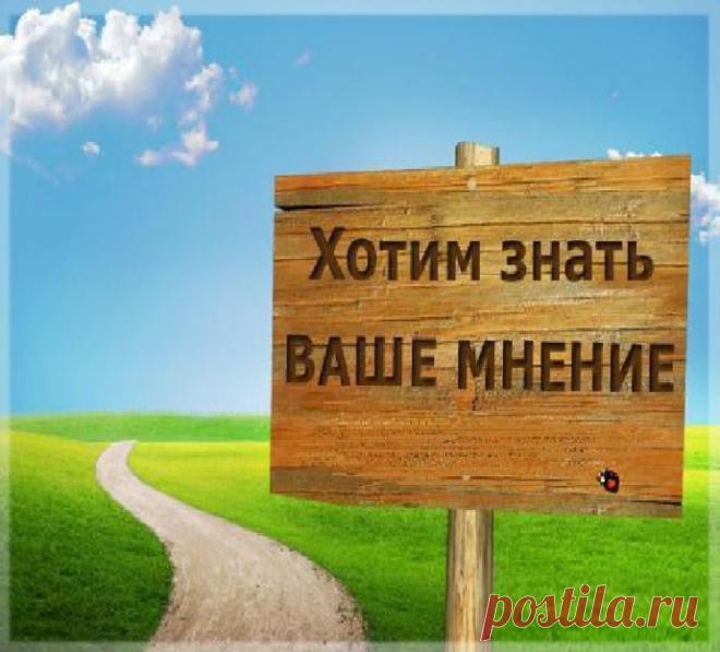 Наш первый день мастера! Итоги мероприятия