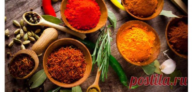 Биохимики предложили использовать для защиты от тромбов натуральные средства