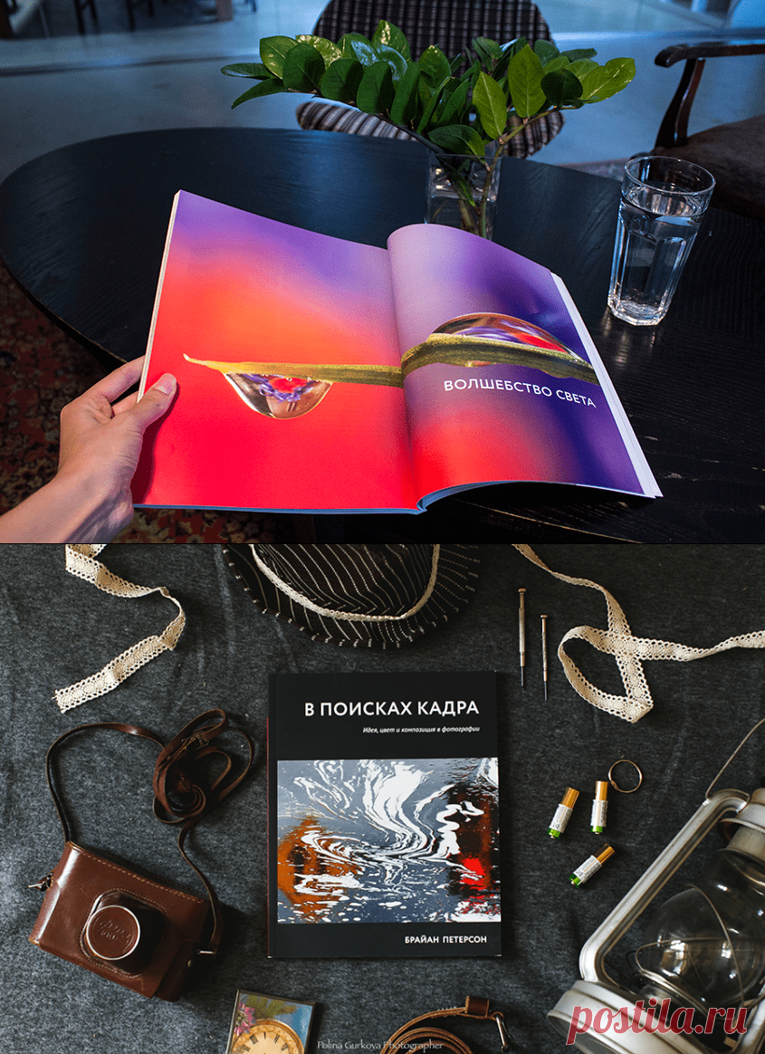 В поисках кадра (Брайан Петерсон) — купить в МИФе