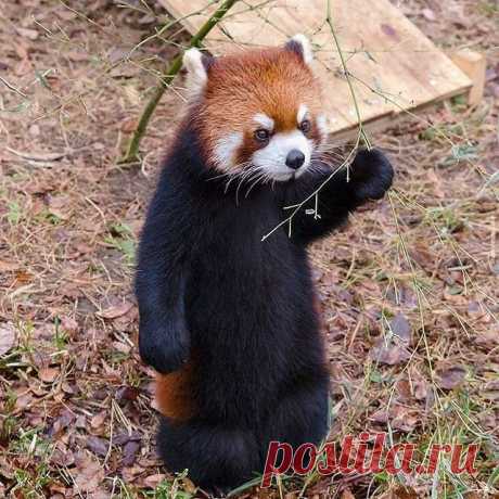 Photo by animalgram on February 11, 2021.