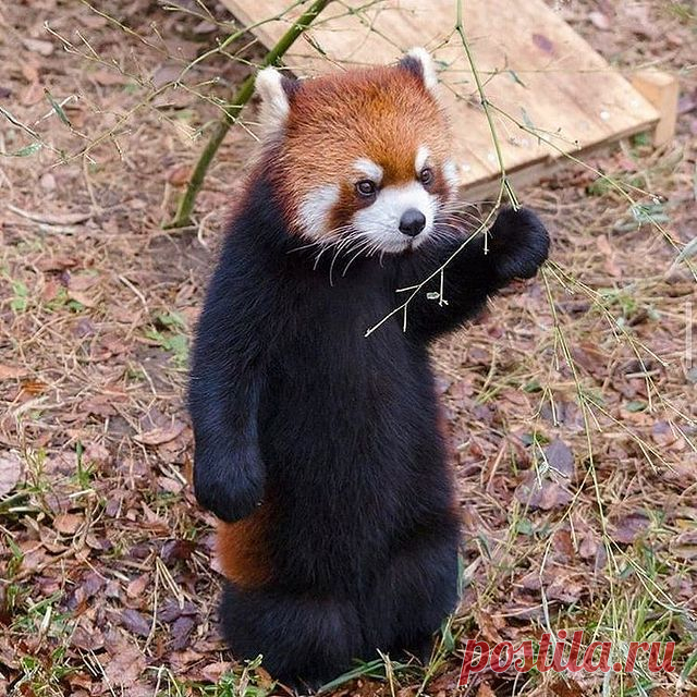 Photo by animalgram on February 11, 2021.