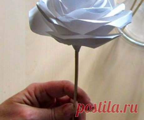 Paper rose Search Results