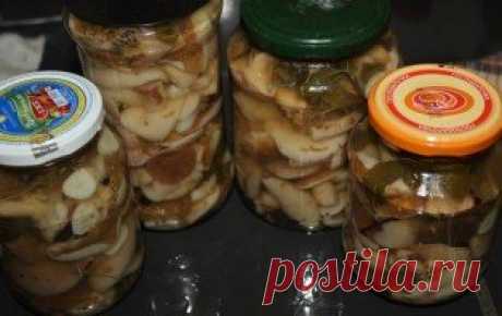 Маринованные маслята в масле - пошаговый рецепт с фото на Повар.ру