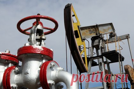 Цена нефти в России резко снижалась два дня подряд. В ходе торгов на СПбМТСБ 4 мая была продана одна физическая партия нефти объемом семь тысяч тонн по цене 216,23 миллиона рублей. Из расчета курса доллара 79,04 рубля такая стоимость соответствует 53,53 доллара за баррель. Накануне партия нефти была продана по цене 59,65 доллара за баррель, а 2 мая — 65,92 доллара.