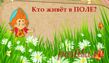 Короткие загадки про ЖИВОТНЫХ для детей