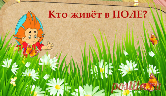 Короткие загадки про ЖИВОТНЫХ для детей