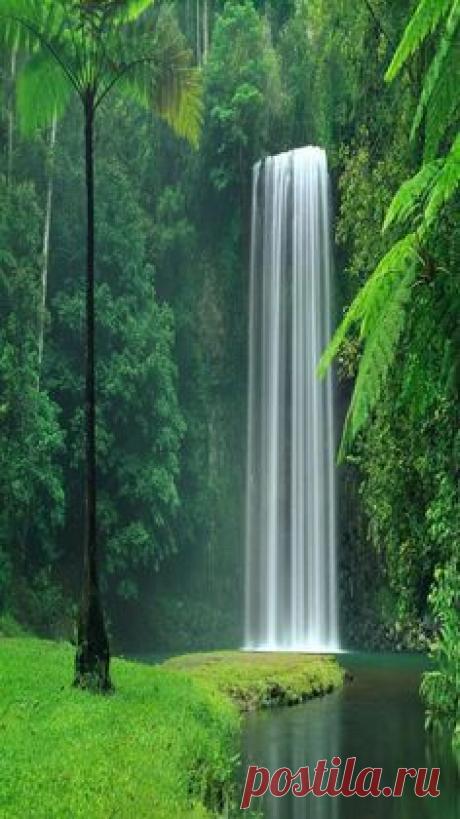 Nature - Waterfall - Lake Plitvice National Park in Croatia.