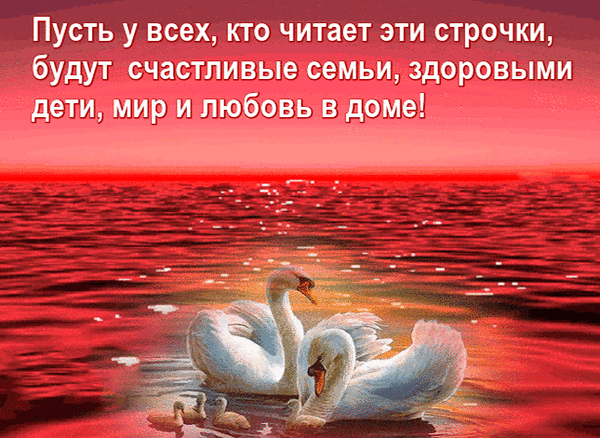 507331457215882.gif (600×438)