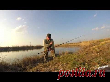 Первый змееголов в сезоне 2014. Ловля змееголова в Узбекистане. Snakehead Fishing in Uzbekistan.