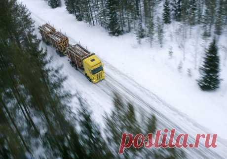 Аренда лесовозов в Екатеринбурге.
Свободны от7 шт лесовозов в Екатеринбурге.
Скания .вольво. 40 куб
лесовозы с манипуляторами ,
вездеходы на базе Урал.краз.маз.Камаз.
Цена: 8 руб.куб.км
https://special-service.info/
frizen196910@mail.ru 
89045471839