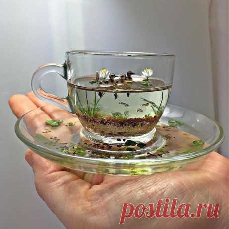 Невесомая красота природы в чашке

#чудисам #творчeство #рукоделие #handmade #хобби #творим_вместе #интересно_знать #beautiful #art #вдохновение