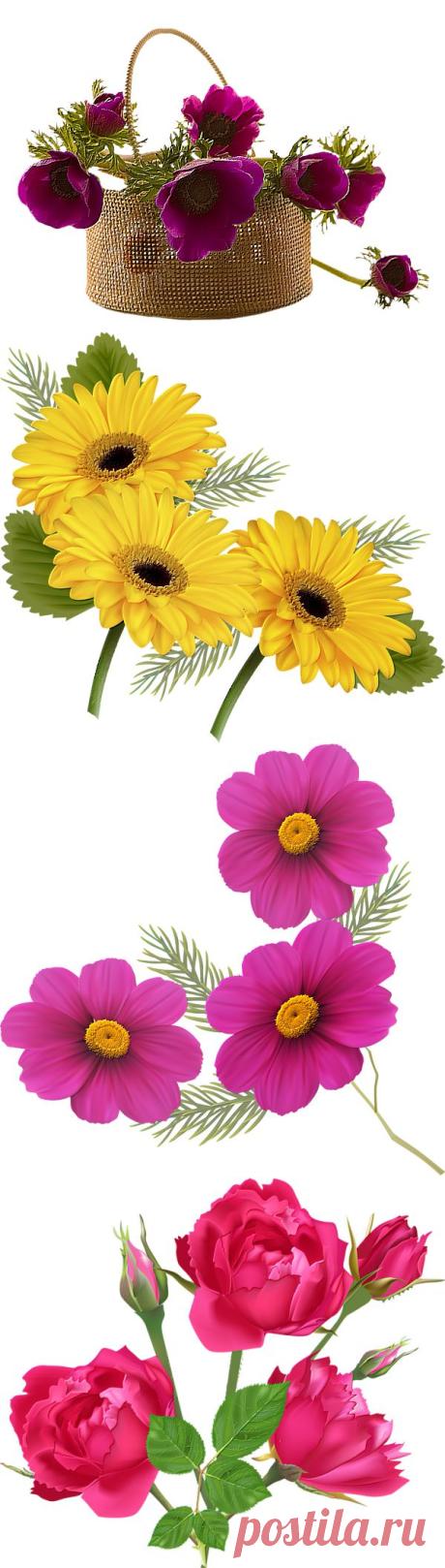 Клипарт - *Цветы* в формате png - для Вашего творчества