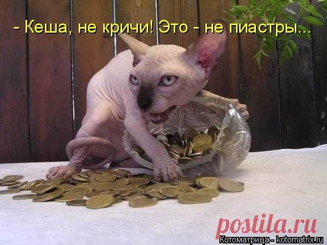 (19) Одноклассники