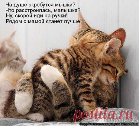 Рядом с мамой станет лучше