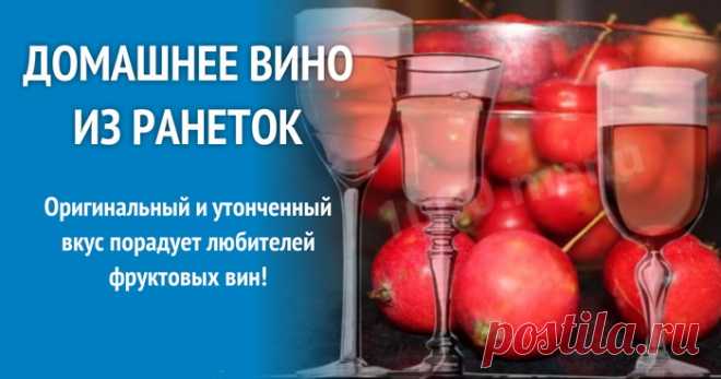 Как сделать вино из ранеток. Чтобы сделать хорошее домашнее вино из ранеток, нужно знать несколько простых правил:
