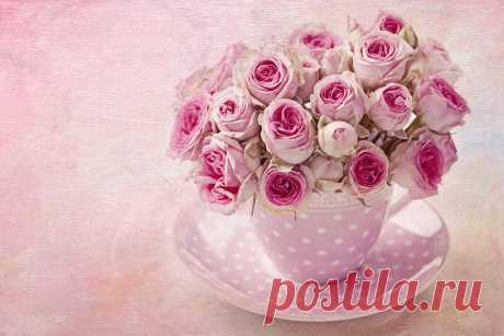 Roses_Bouquets_Cup_Pink_color_Plate_544838_1280x853.jpg (1280×853)