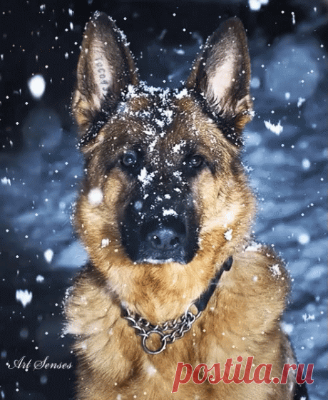 Мой Мир@Mail.Ru