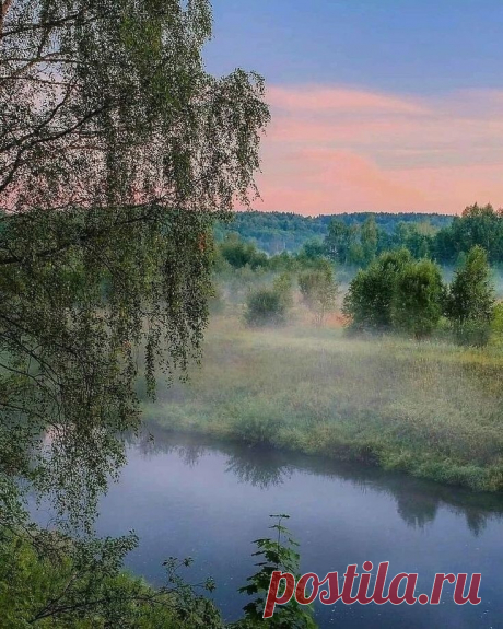 i (735×919)