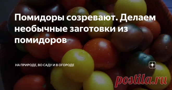 Помидоры созревают. Делаем необычные заготовки из помидоров Давно не мариную просто помидоры в банках. Мне стало не очень интересно это делать, а семье хочется новых вкусов и новых блюд.