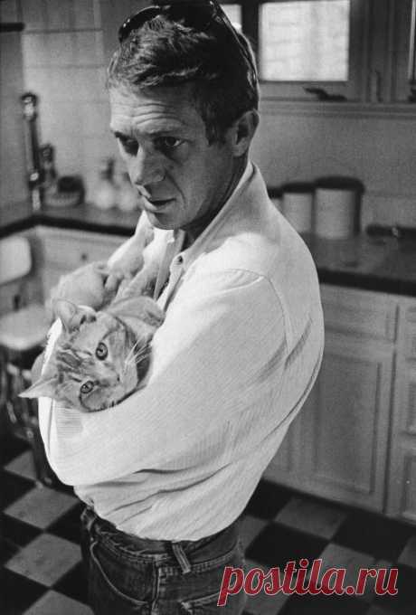 Стив МакКуинн