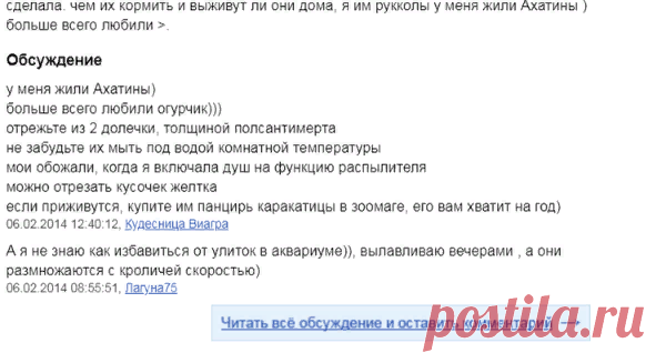 Улитка ахатина. Содержание, кормление, разведение. Уход за улиткой ахатиной