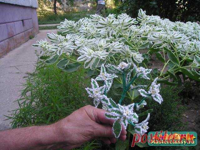 Невеста. Мастер класс с пошаговыми фото