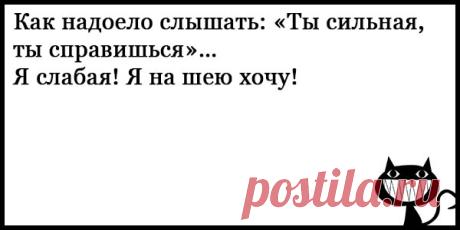 Смешные шутки до слез - короткие, свежие, новые, ржачные, веселые