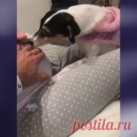 Сколько нежности у любви