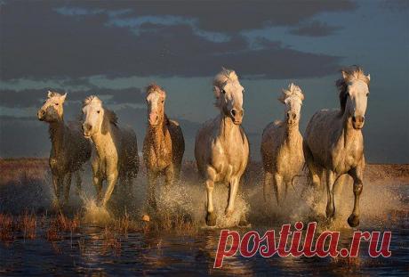 Интересные новости