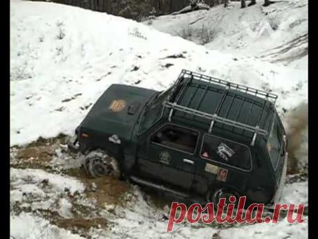 Нива Путина в Украине