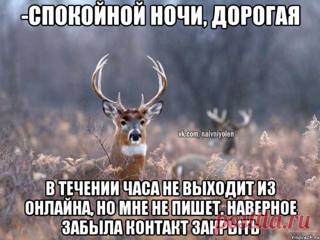 -Спокойной ночи, дорогая В течении часа не выходит из онлайна, но мне не пишет. Наверное забыла контакт закрыть, Мем Наивный олень - Рисовач .Ру