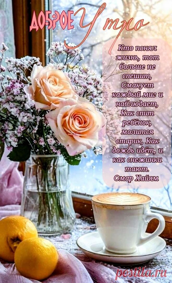 С добрым утром Привет Здрасте Добрый день