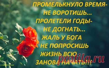 (50) Одноклассники