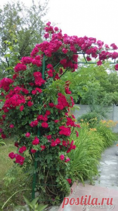 (751) Pinterest